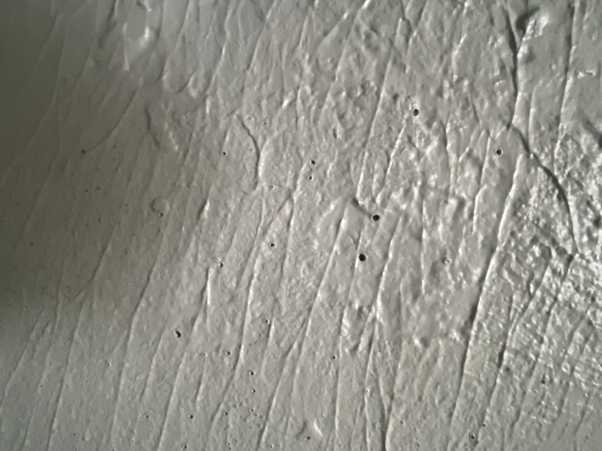 Pinholes through the membrane, Marsden Park